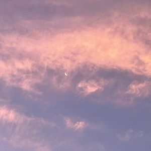 Meet your Posher, Brooklynn